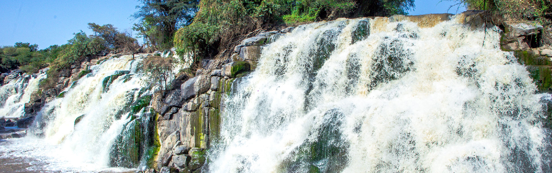  Awash National Park Tour ETH13